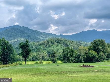 186 Rice Landing Court Hayesville - Photo 30