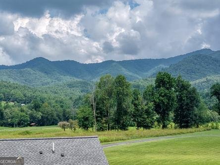 186 Rice Landing Court Hayesville - Photo 31