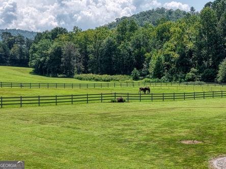 186 Rice Landing Court Hayesville - Photo 8