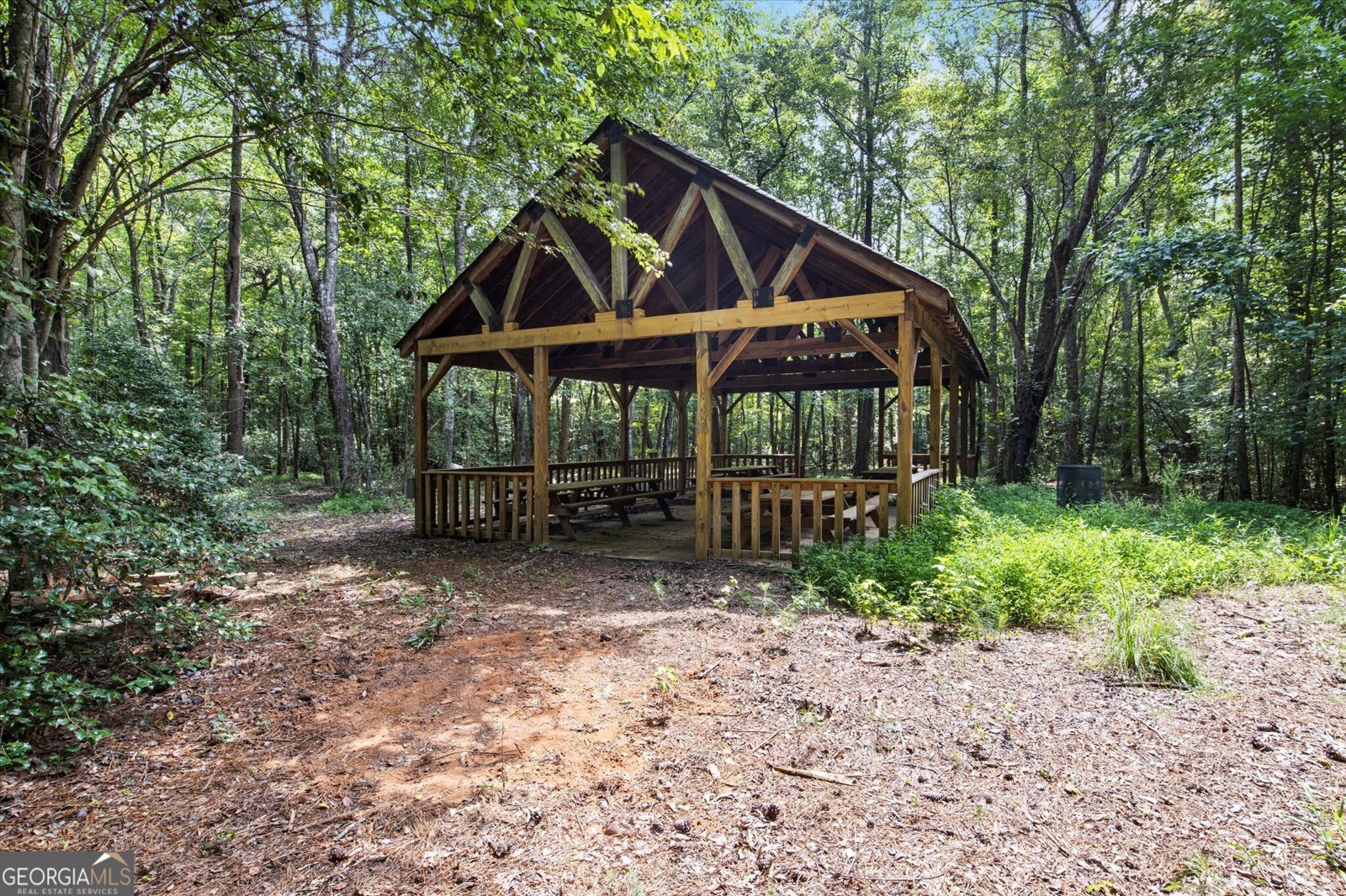 7497 Treehouse Court Douglasville - Photo 116