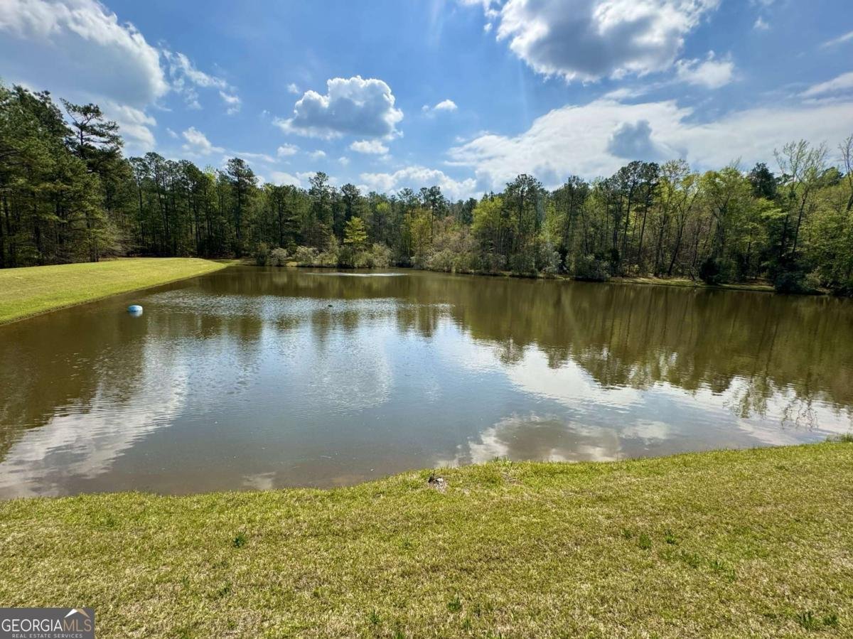260 Black Springs Road NE Milledgeville - Photo 43