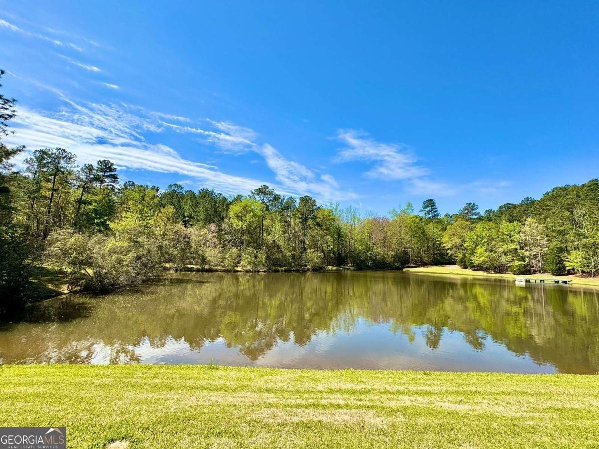 260 Black Springs Road NE Milledgeville - Photo 44