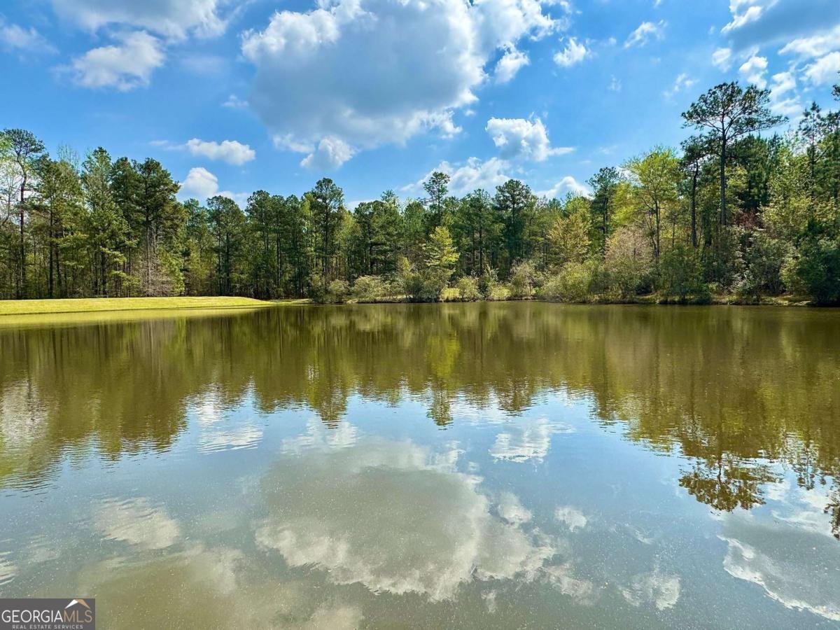 260 Black Springs Road NE Milledgeville - Photo 45