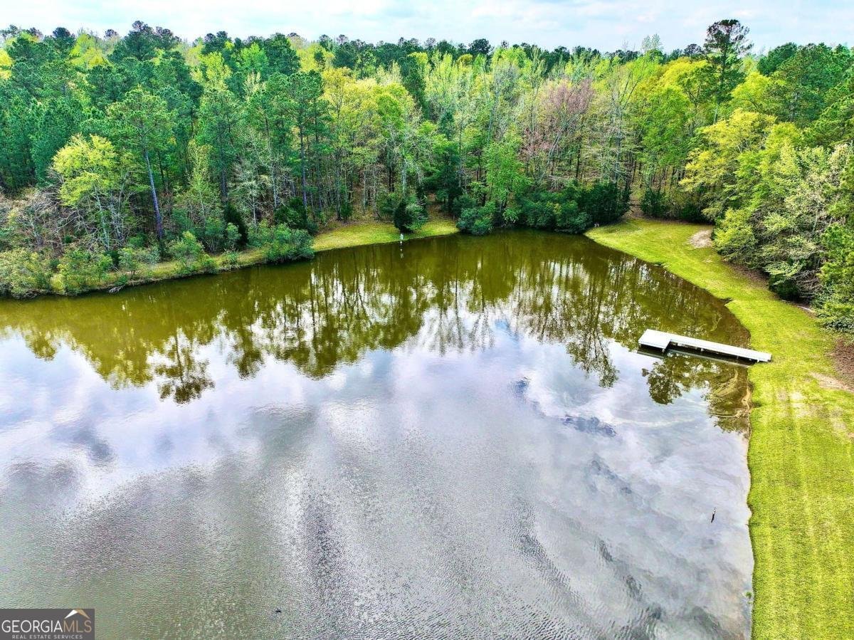 260 Black Springs Road NE Milledgeville - Photo 46