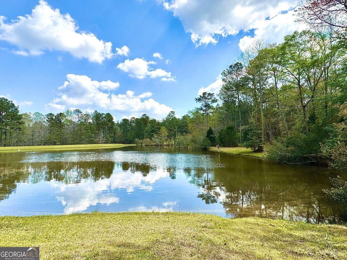 260 Black Springs Road NE Milledgeville - Photo 47