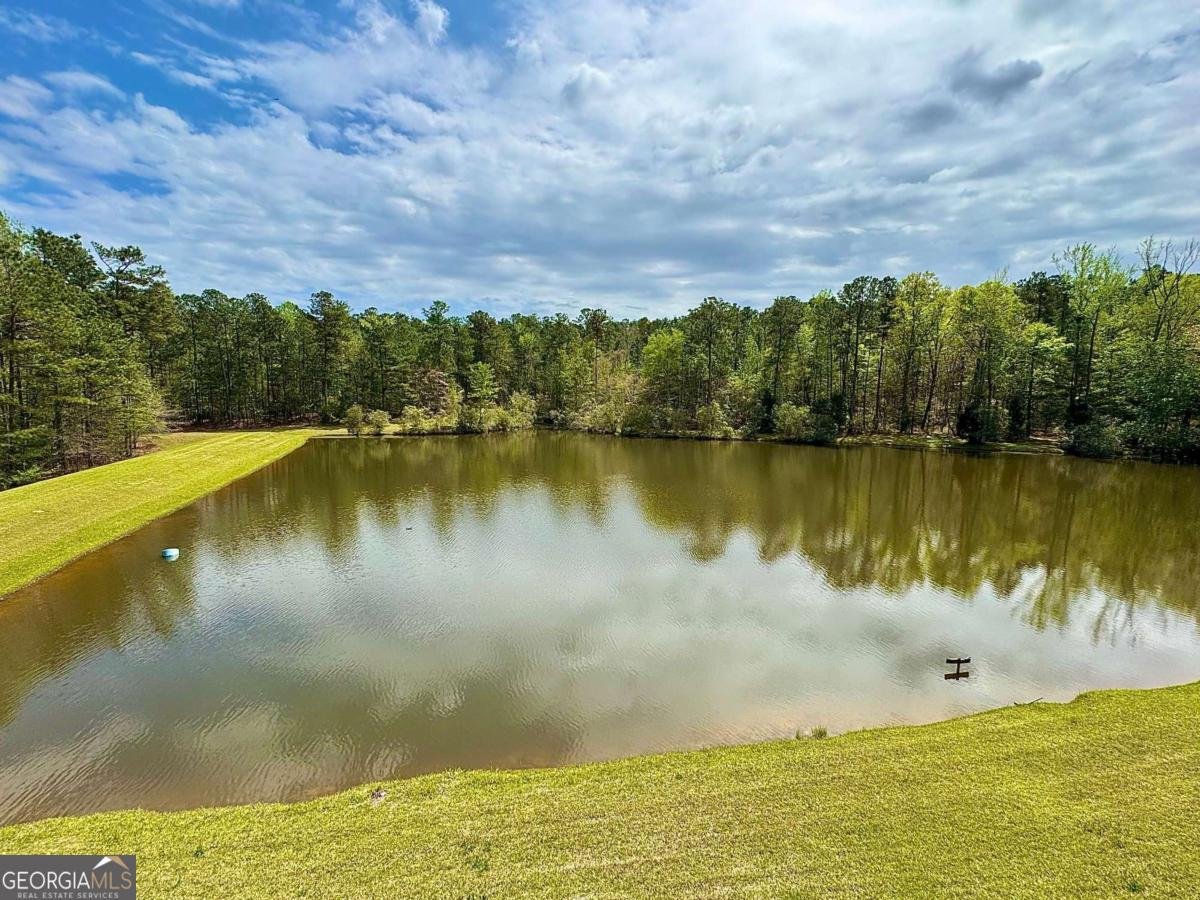260 Black Springs Road NE Milledgeville - Photo 48