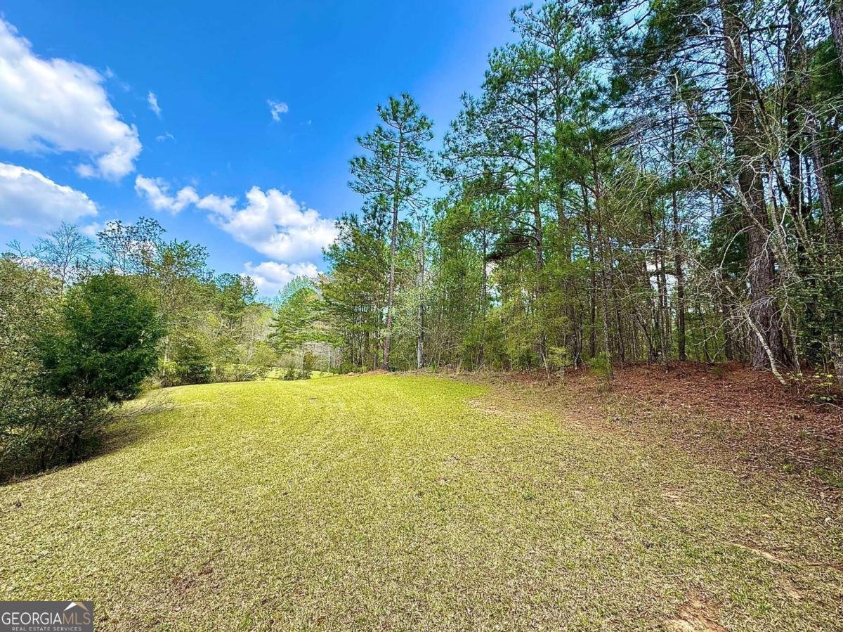 260 Black Springs Road NE Milledgeville - Photo 58