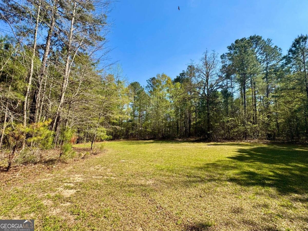 260 Black Springs Road NE Milledgeville - Photo 59