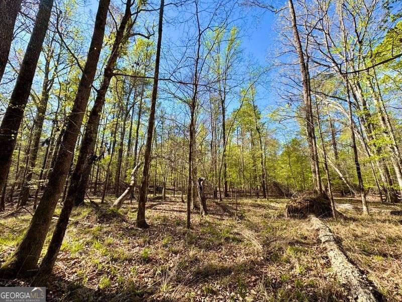 260 Black Springs Road NE Milledgeville - Photo 60