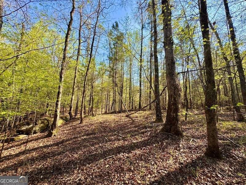 260 Black Springs Road NE Milledgeville - Photo 61