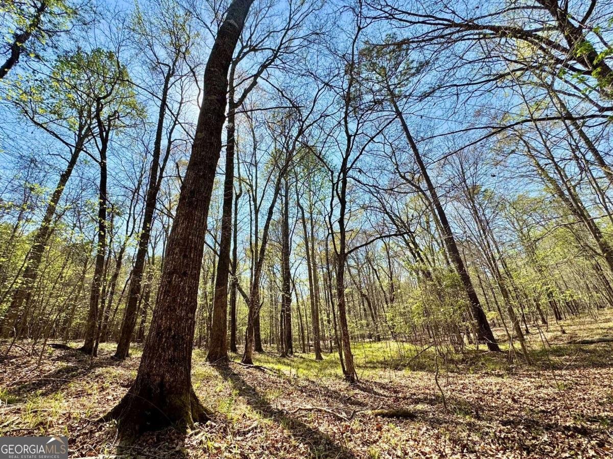 260 Black Springs Road NE Milledgeville - Photo 62
