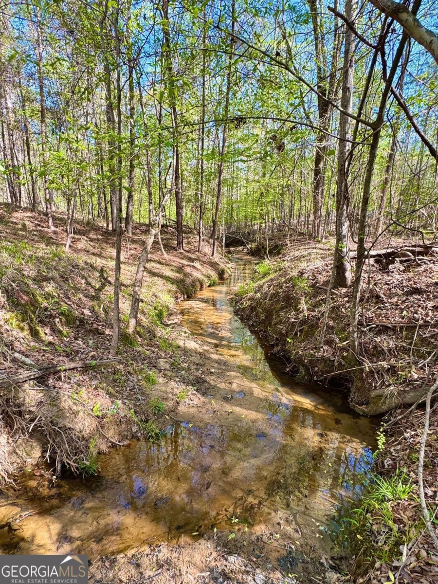 260 Black Springs Road NE Milledgeville - Photo 63