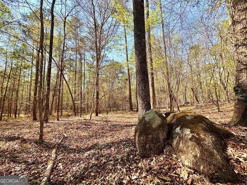 260 Black Springs Road NE Milledgeville - Photo 73