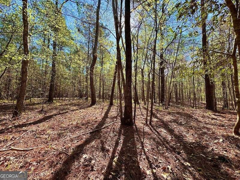 260 Black Springs Road NE Milledgeville - Photo 74