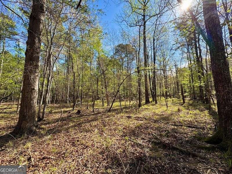 260 Black Springs Road NE Milledgeville - Photo 75