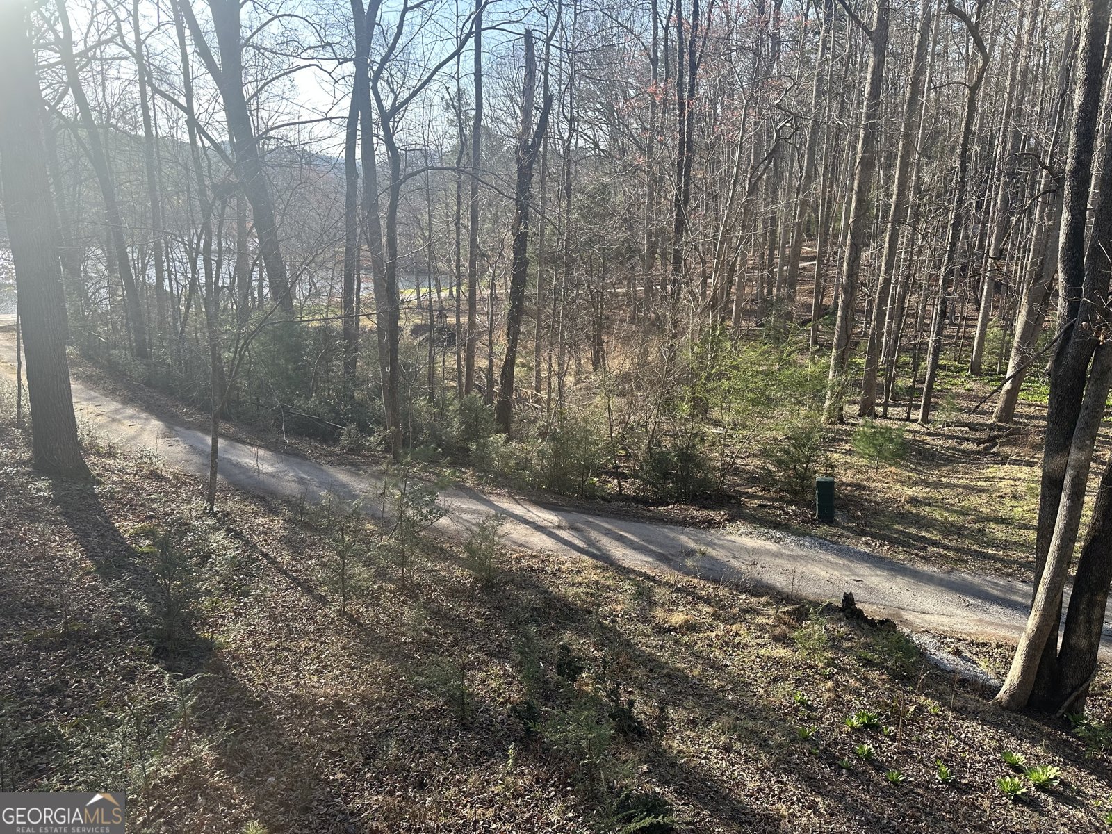 68 Star Lake Lane Sautee Nacoochee - Photo 39