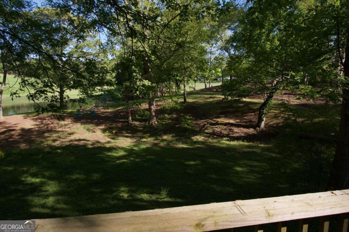 514 Grady Street Waleska - Photo 17