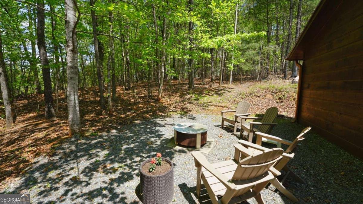 210 Shade Tree Lane Mineral Bluff - Photo 45