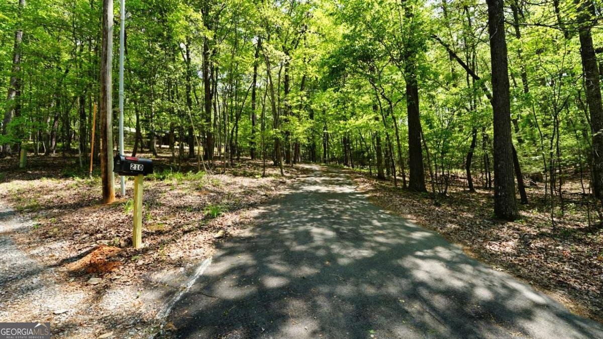 210 Shade Tree Lane Mineral Bluff - Photo 46