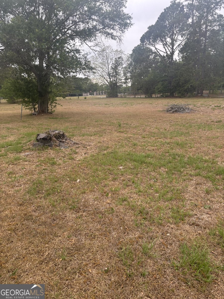 6901 US HWY 280 Claxton - Photo 21