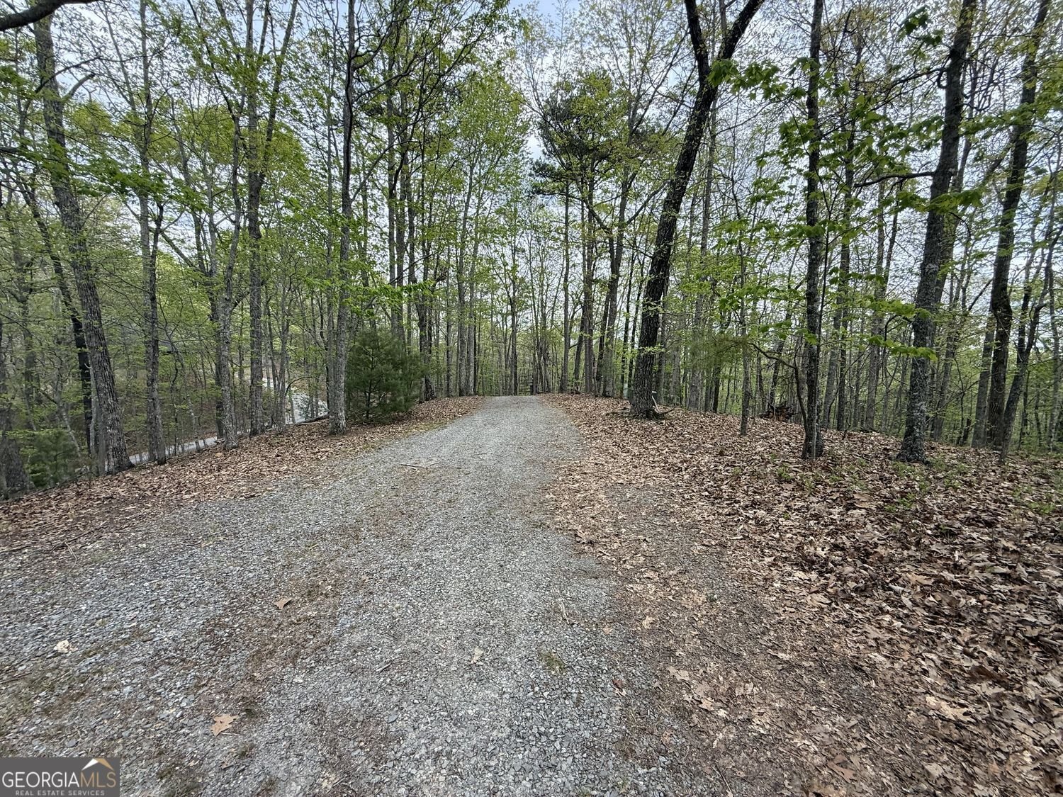 175 Antler Way Morganton - Photo 6