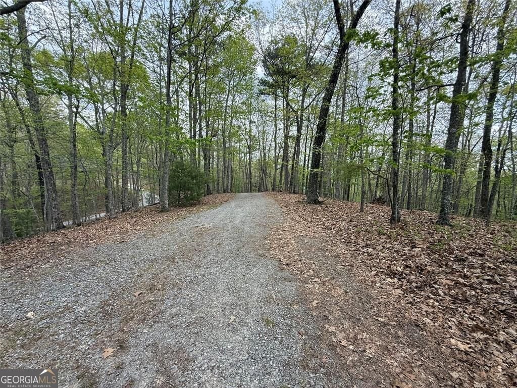 175 Antler Way Morganton - Photo 8