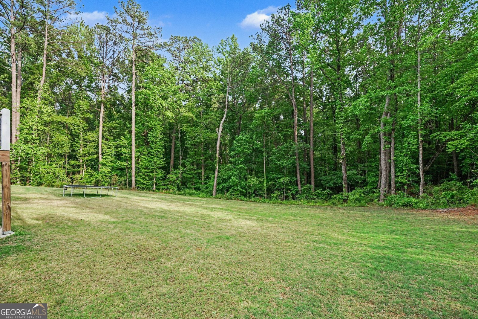 2516 Stream View Drive Conyers - Photo 51