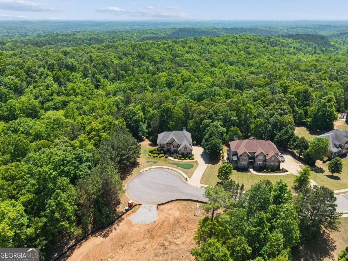 7741 Windswept Way Douglasville - Photo 43