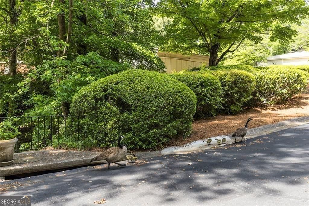 4035 Deerings Drive Peachtree Corners - Photo 29