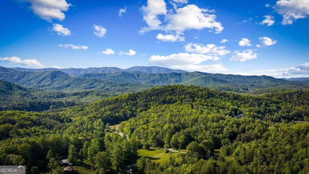 146 7 Figure Ridge Blue Ridge - Photo 69