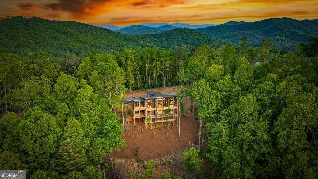 146 7 Figure Ridge Blue Ridge - Photo 7