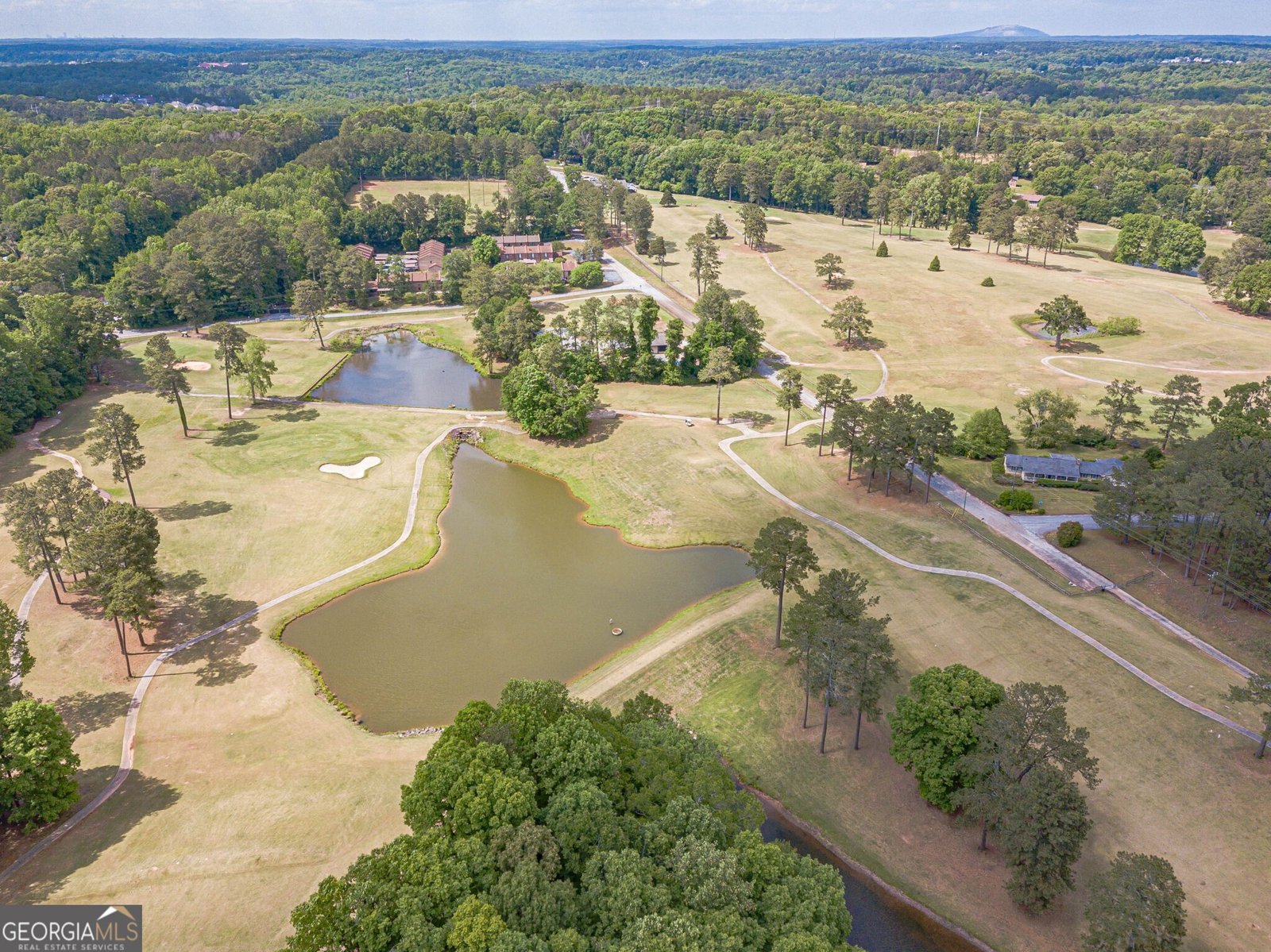 5817 Little Mountain Drive Ellenwood - Photo 73