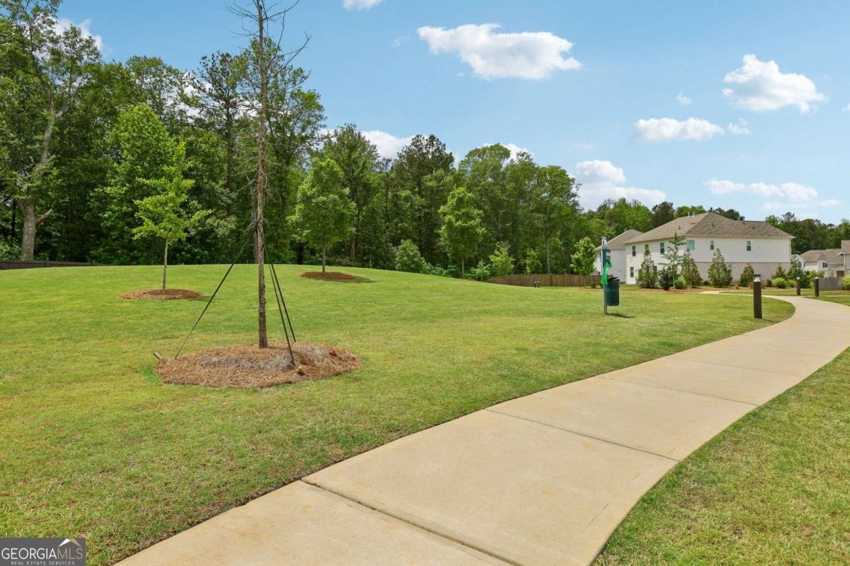 3722 Silvery Way Powder Springs - Photo 29