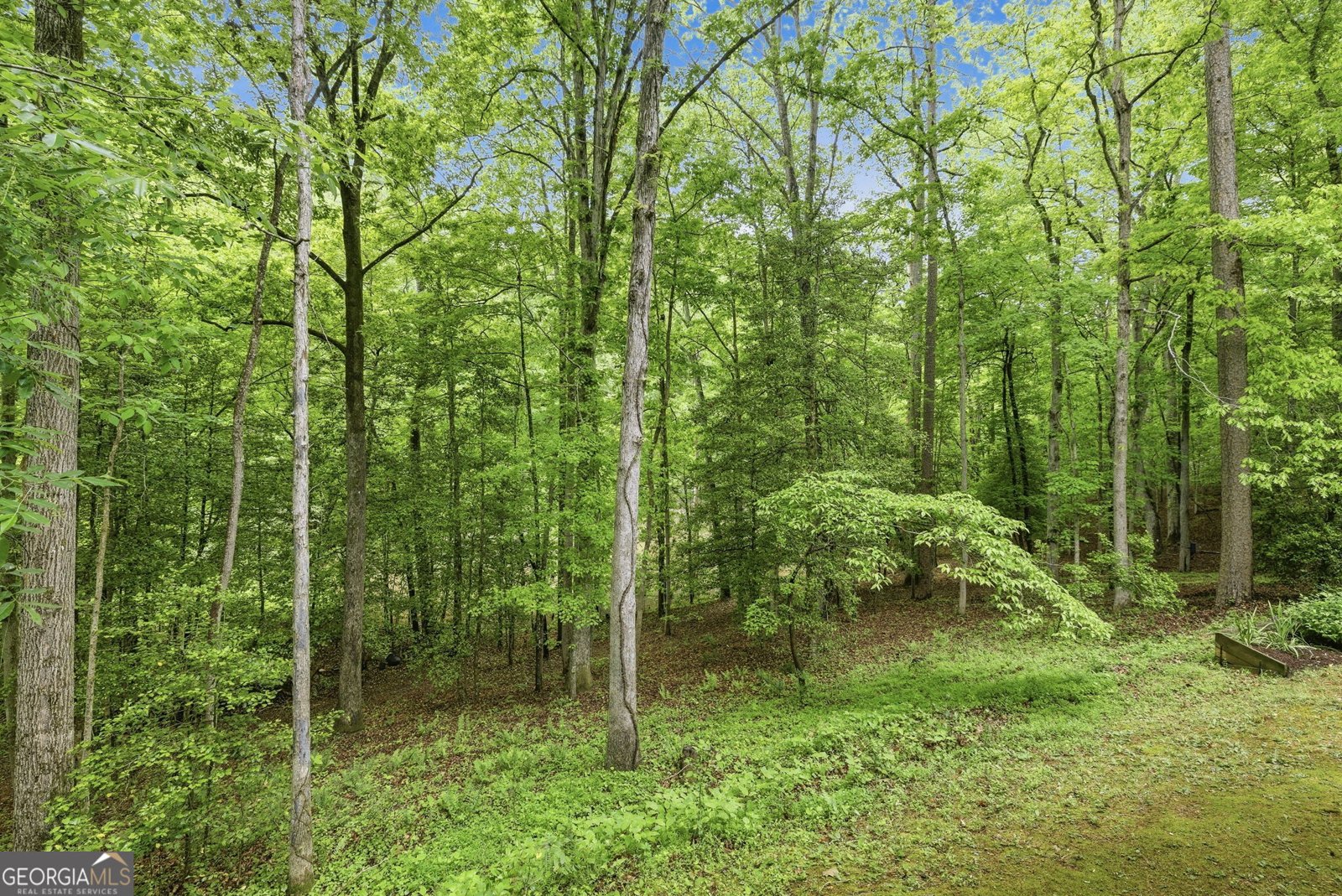 521 River Bridge Trail Cornelia - Photo 43