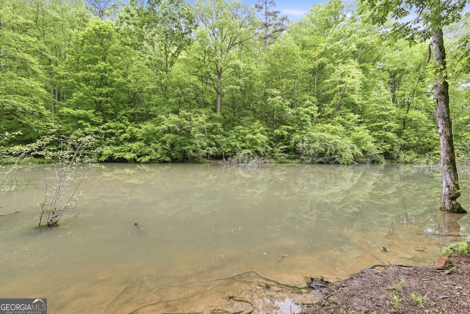 521 River Bridge Trail Cornelia - Photo 54