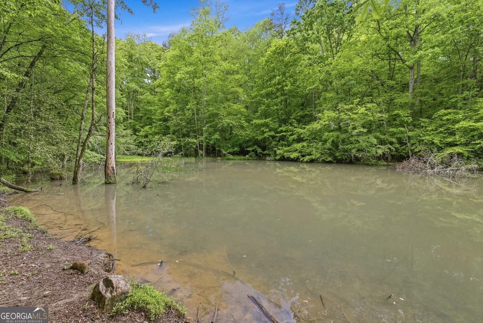 521 River Bridge Trail Cornelia - Photo 55