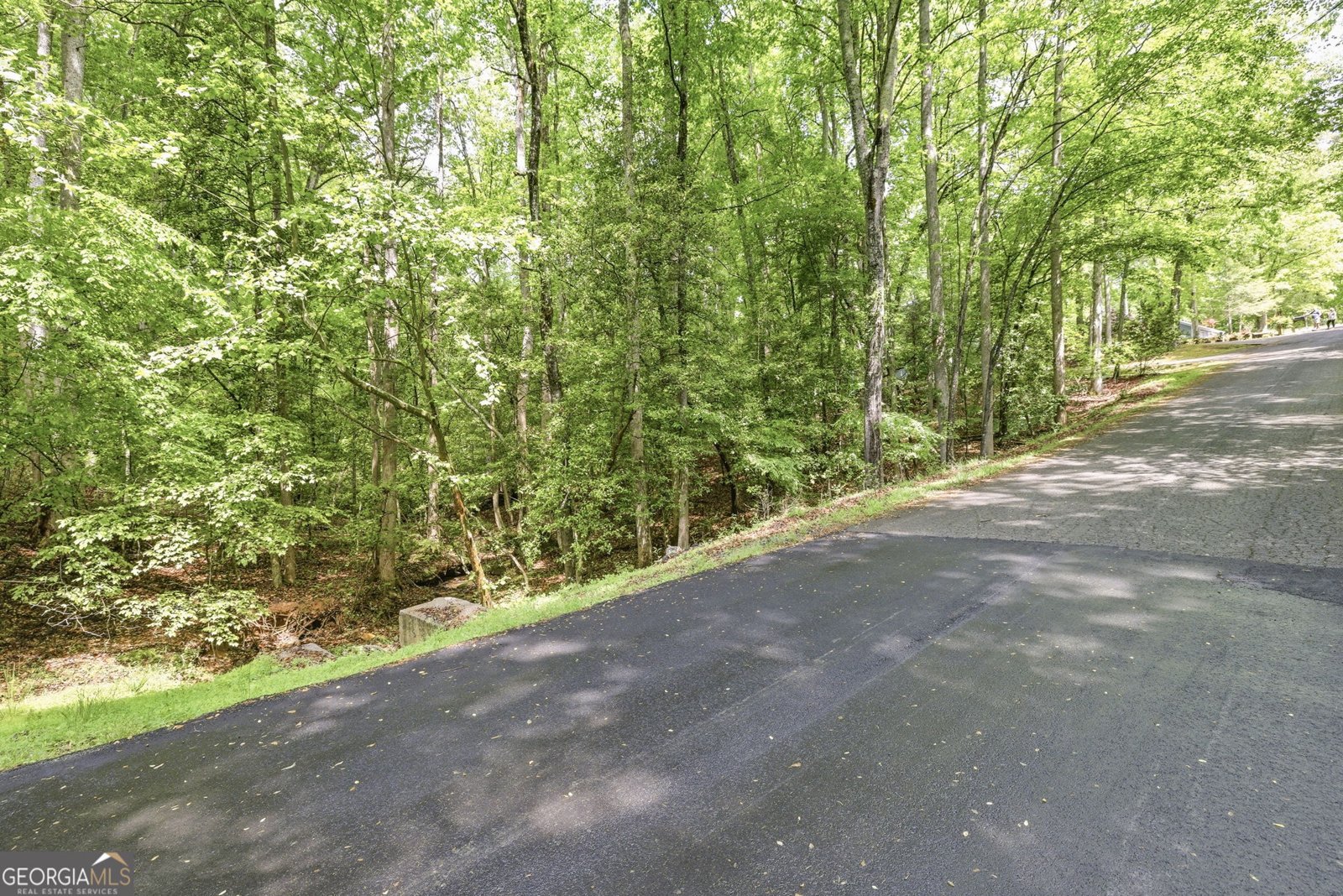 521 River Bridge Trail Cornelia - Photo 58