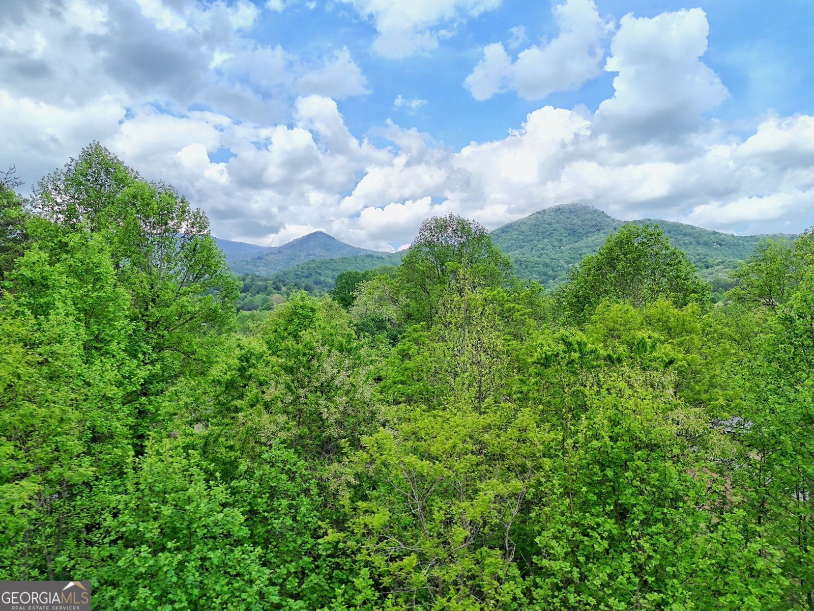 600 Mill Ridge Road Hiawassee - Photo 61