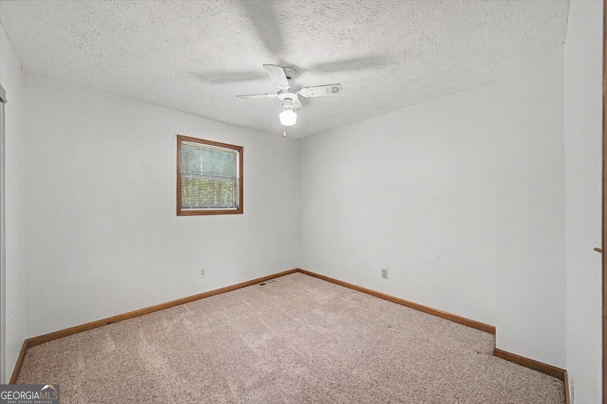 235 Emerald Cove Lane Woodstock - Photo 35