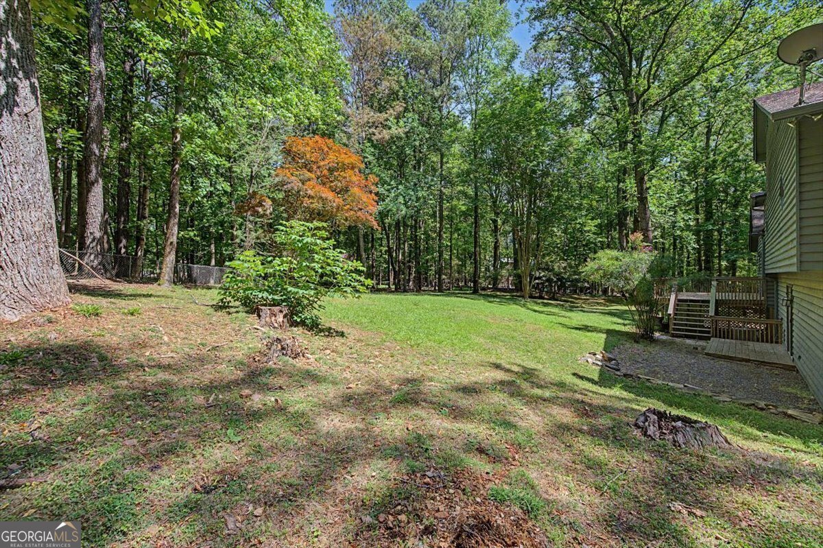 235 Emerald Cove Lane Woodstock - Photo 49