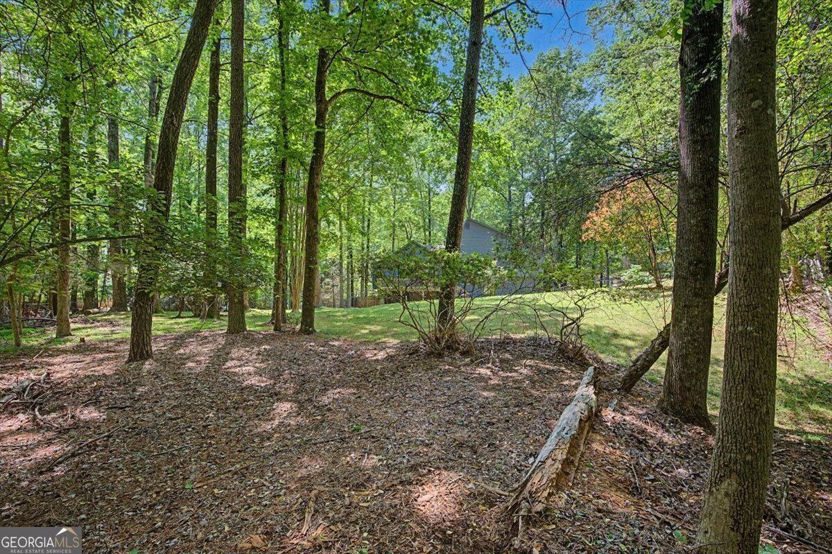 235 Emerald Cove Lane Woodstock - Photo 52