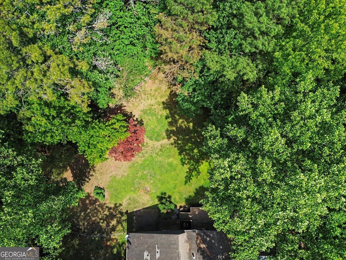 235 Emerald Cove Lane Woodstock - Photo 56