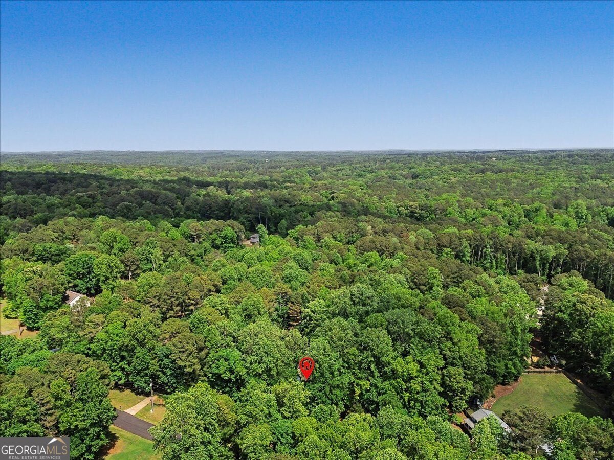 235 Emerald Cove Lane Woodstock - Photo 58