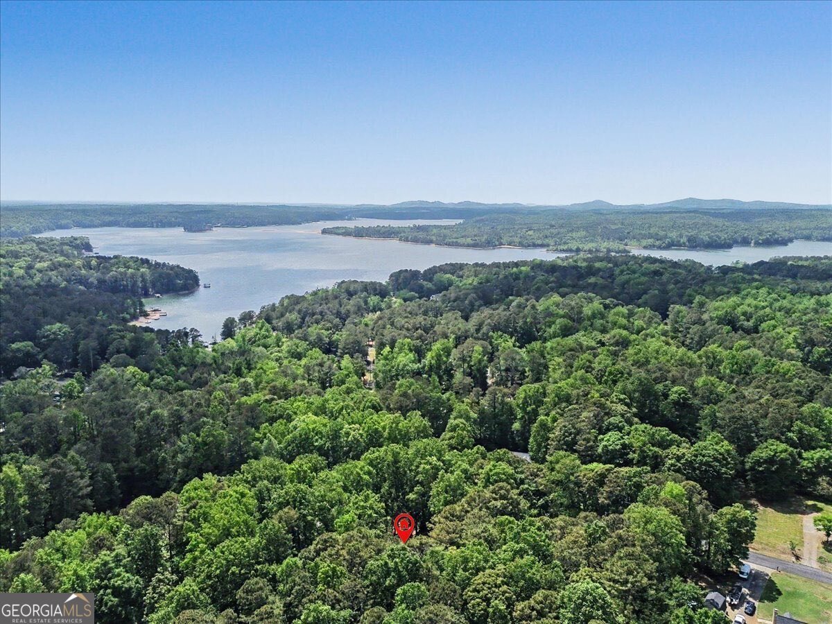 235 Emerald Cove Lane Woodstock - Photo 59