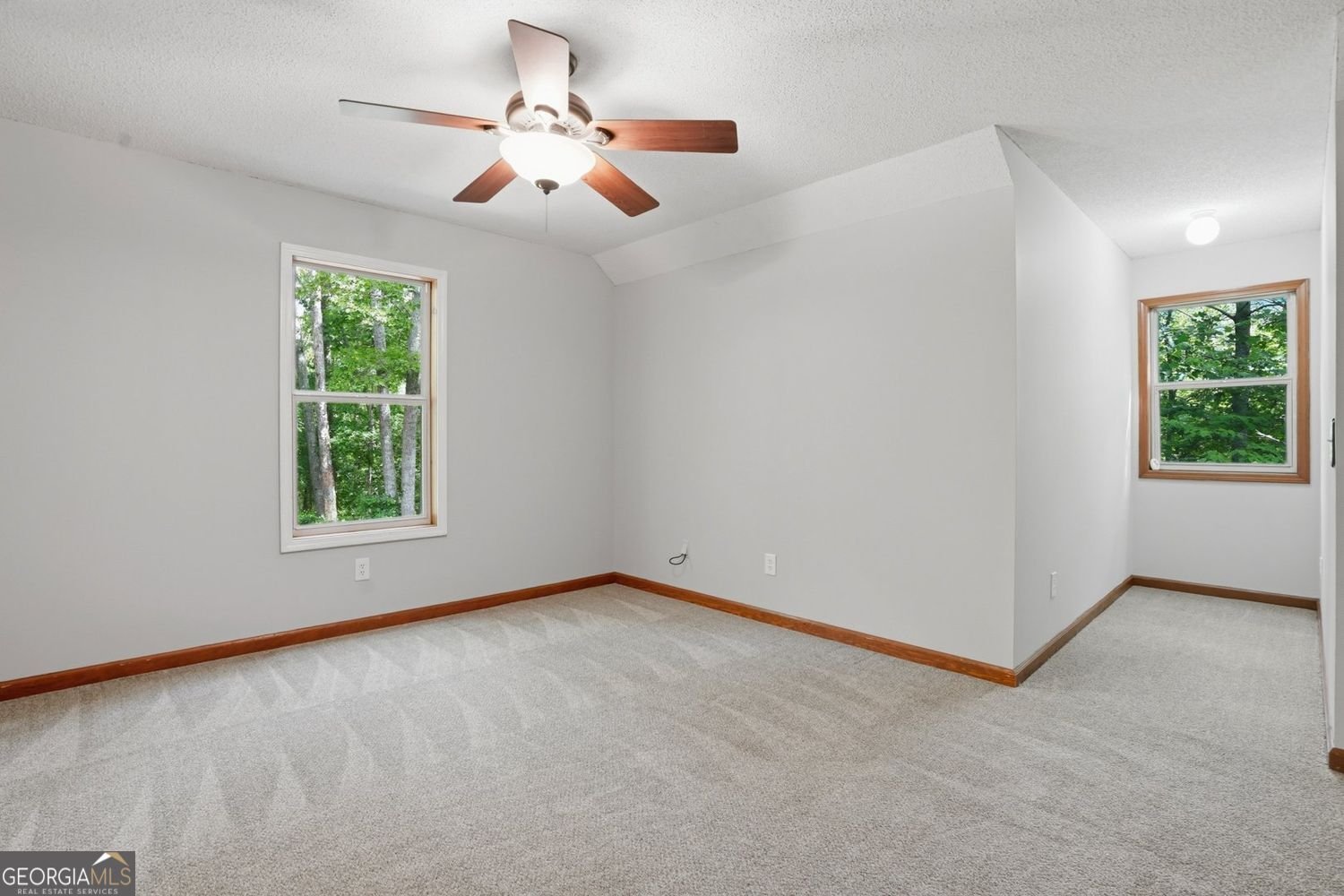 335 Ficklen Drive Canton - Photo 23