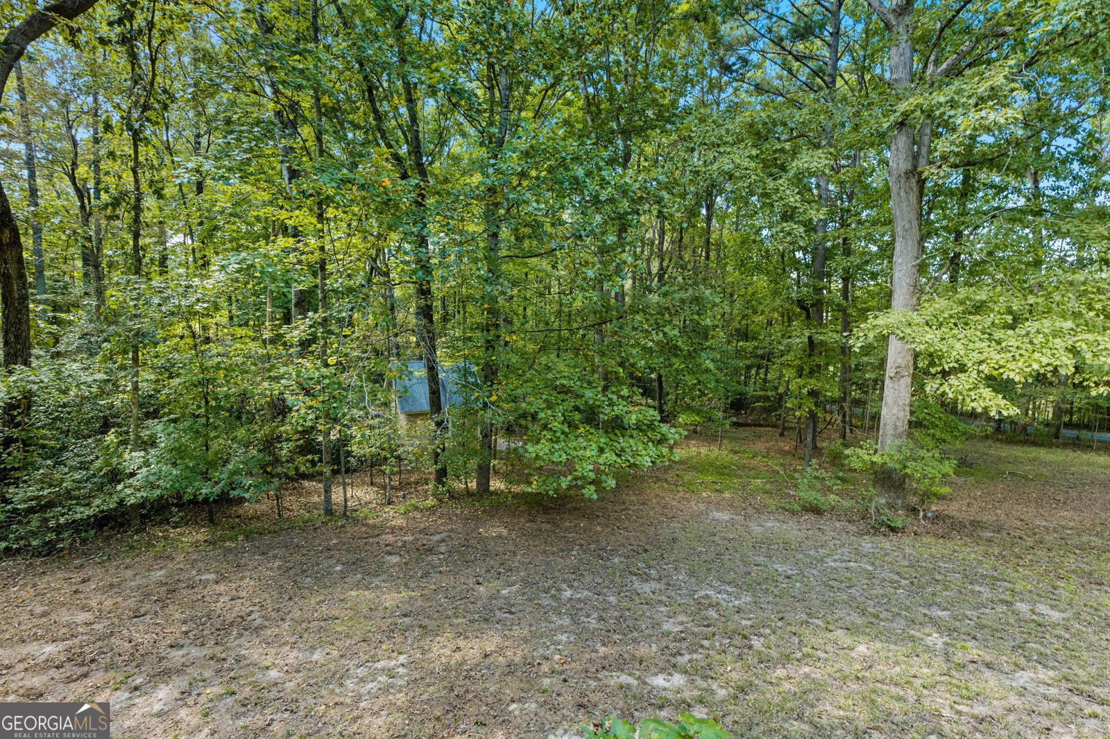 3231 Camp Branch Circle Buford - Photo 29