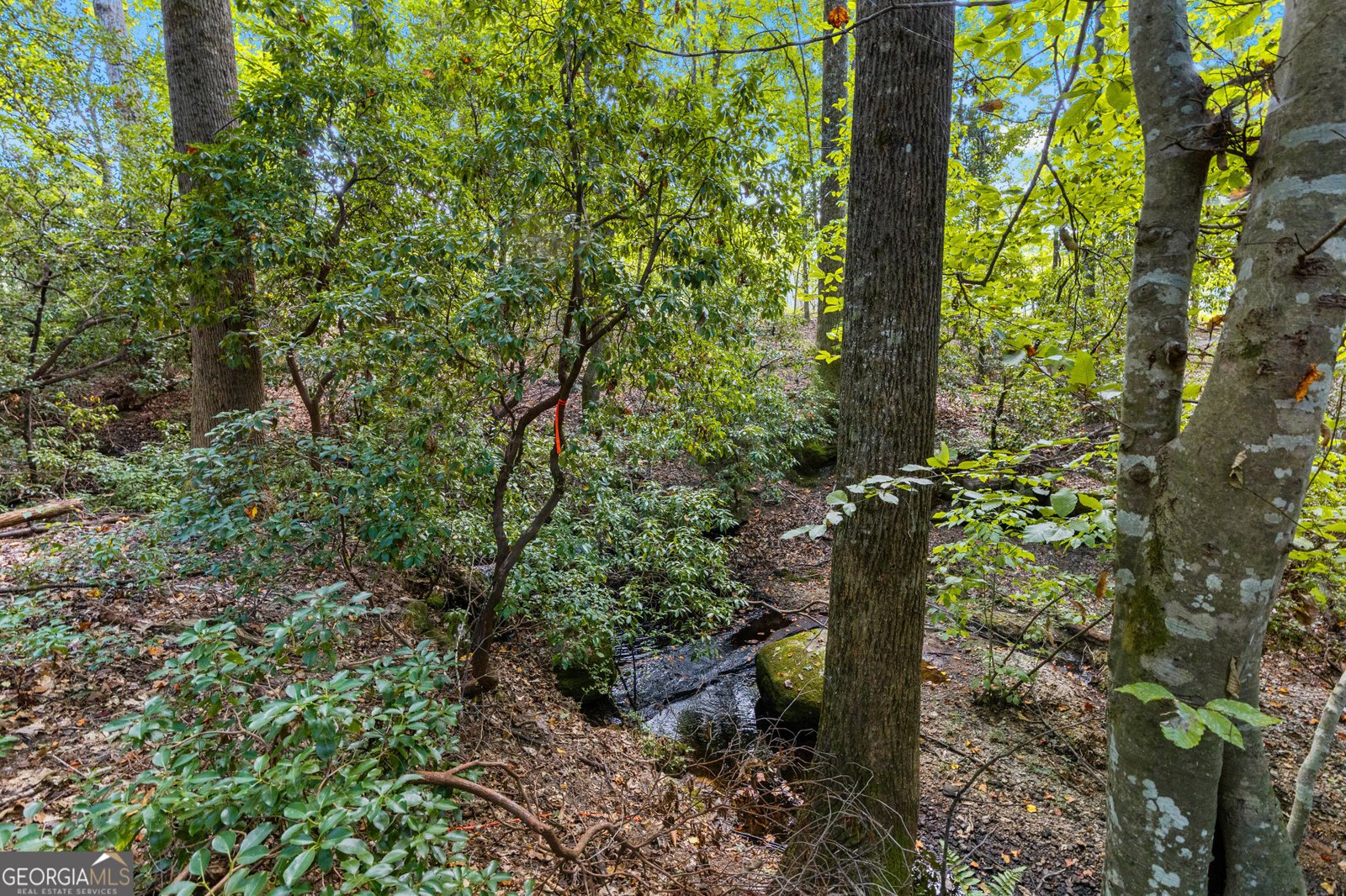 3231 Camp Branch Circle Buford - Photo 30
