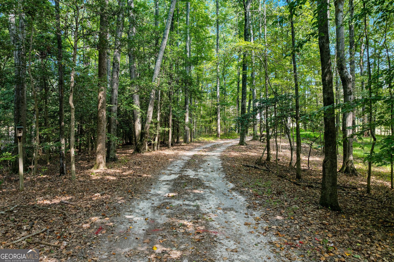 3231 Camp Branch Circle Buford - Photo 35