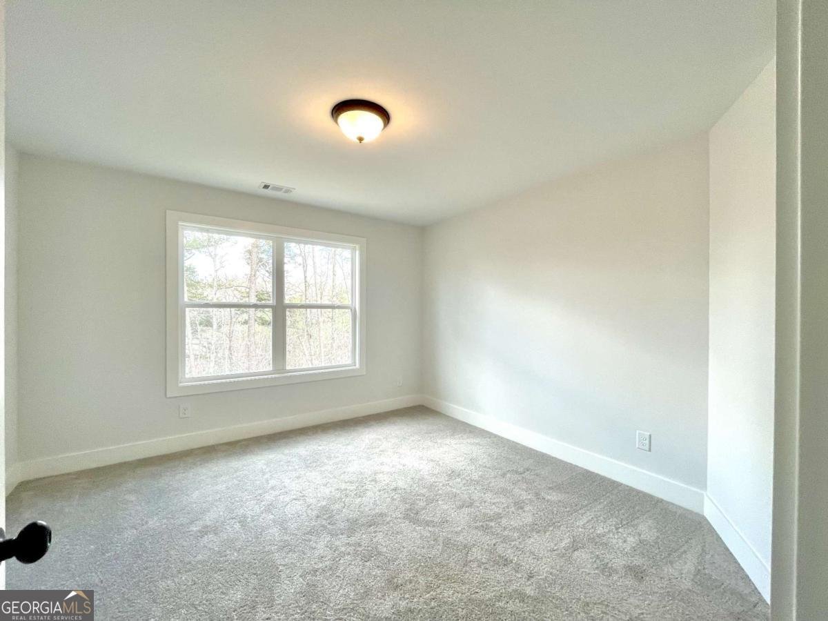 14 Altar Rock Court Court Cartersville - Photo 24