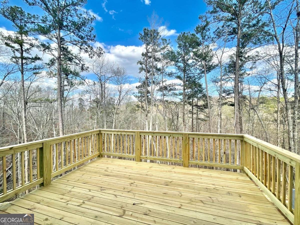 14 Altar Rock Court Court Cartersville - Photo 28